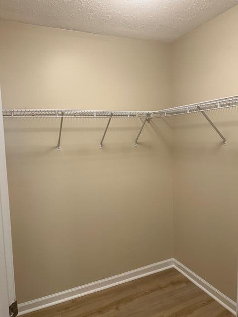 walk in closet with dark wood-style flooring