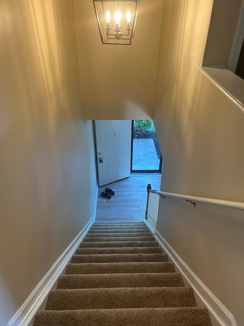 stairs featuring baseboards, an inviting chandelier, and carpet