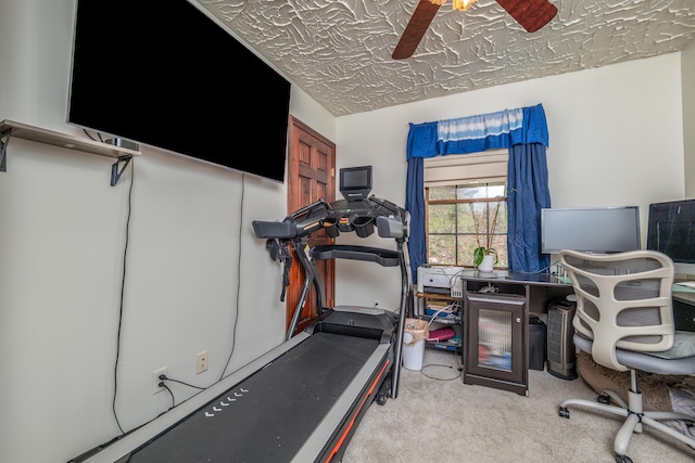office area featuring carpet and a ceiling fan