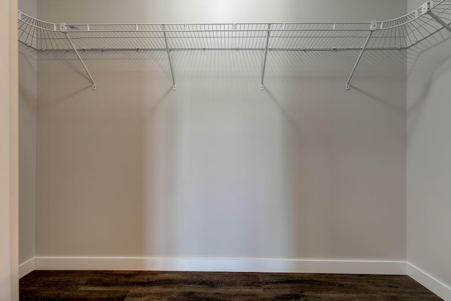 spacious closet with dark wood-style flooring