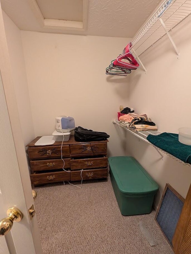 walk in closet featuring carpet floors and attic access