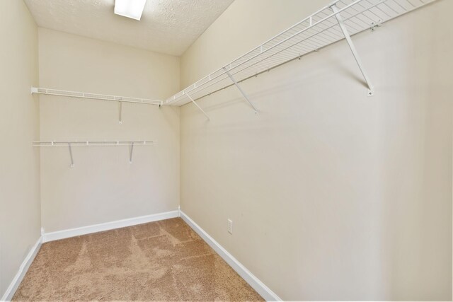 walk in closet featuring carpet flooring