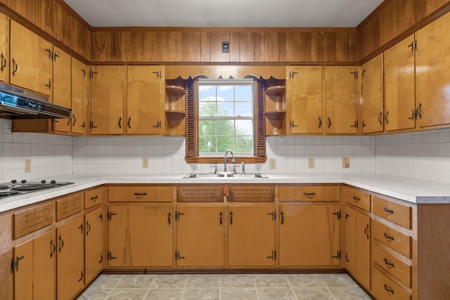 136 Pin Oak Dr, Lancaster, KY 40444 - kitchen featuring a sink, stainless steel electric stovetop, tasteful backsplash, open shelves, and light countertops