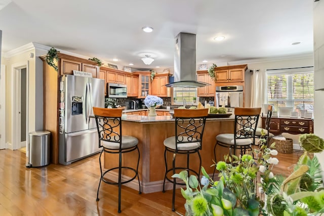 kitchen featuring crown molding, a kitchen breakfast bar, appliances with stainless steel finishes, and island exhaust hood