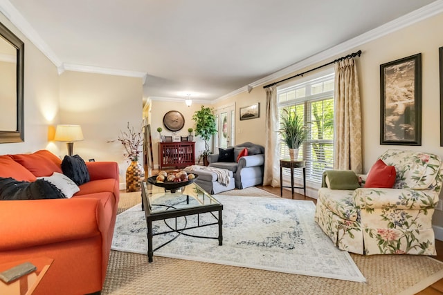 living room featuring crown molding and wood finished floors
