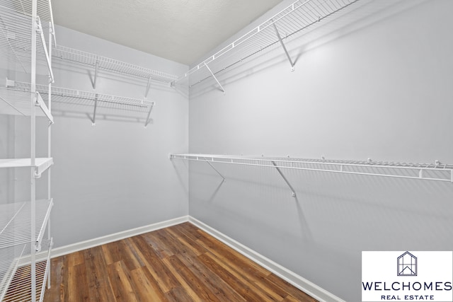 1008 Alexandria Dr, Lawrenceburg, KY 40342 - walk in closet featuring wood finished floors