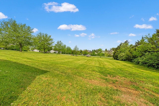 1008 Alexandria Dr, Lawrenceburg, KY 40342 - view of yard