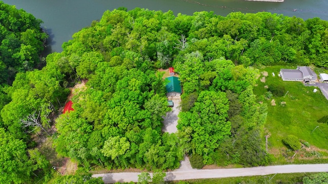 bird's eye view