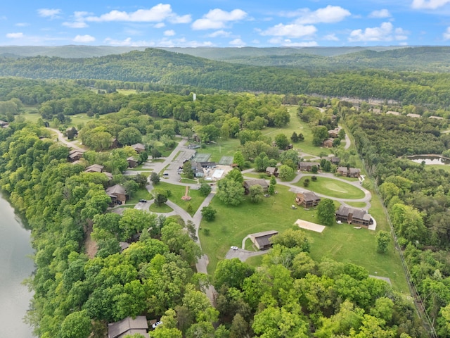 drone / aerial view with a water view and a view of trees