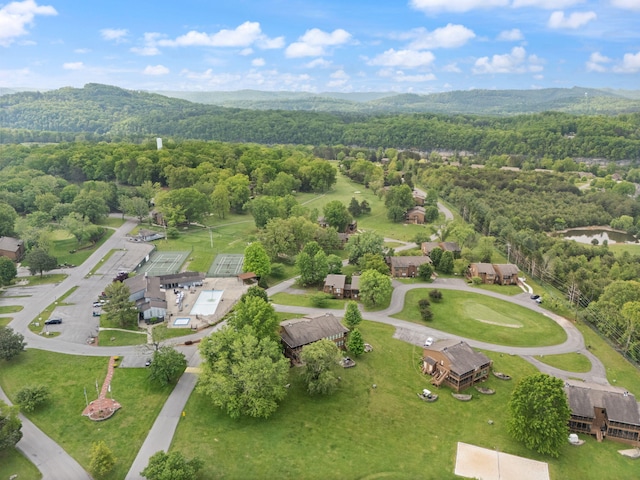 aerial view featuring a view of trees and a mountain view