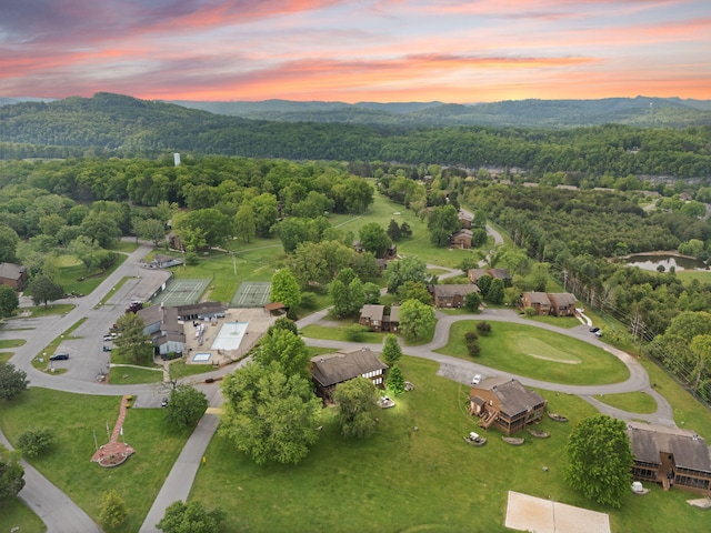 aerial view featuring a mountain view and a wooded view