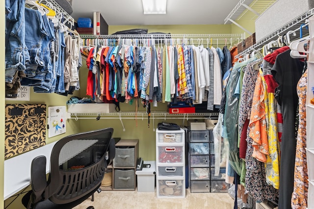 107 Highview Dr, Midway, KY 40347 - view of spacious closet