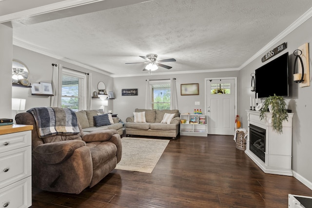220 Garden Ave, Stanford, KY 40484 - living room with crown molding, dark wood-style flooring, ceiling fan, a textured ceiling, and a glass covered fireplace