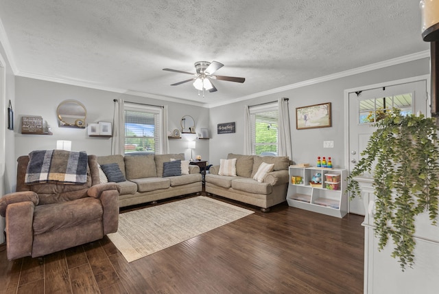 220 Garden Ave, Stanford, KY 40484 - living area featuring a ceiling fan, dark wood-style floors, a textured ceiling, and a wealth of natural light