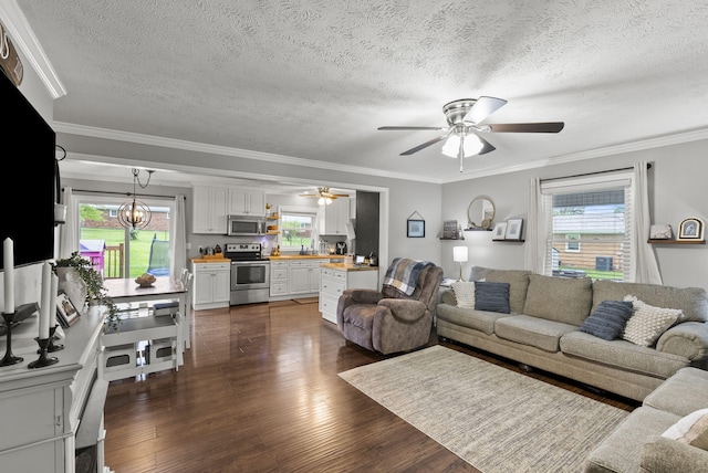 220 Garden Ave, Stanford, KY 40484 - living area with crown molding, a textured ceiling, dark wood finished floors, and ceiling fan