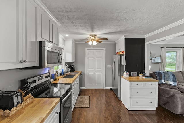 220 Garden Ave, Stanford, KY 40484 - kitchen featuring ceiling fan, a textured ceiling, appliances with stainless steel finishes, open floor plan, and wood counters