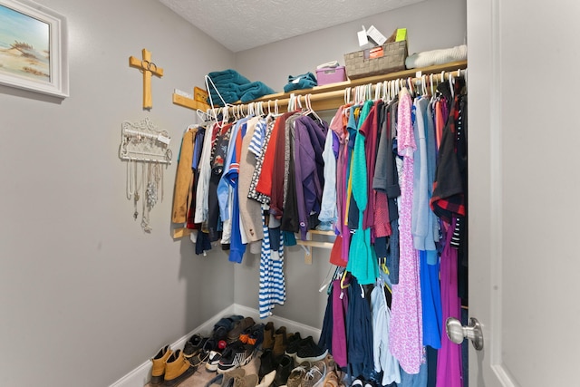 7314 Blue Level Rd, Rockfield, KY 42274 - view of spacious closet
