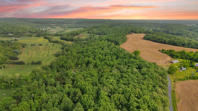 7314 Blue Level Rd, Rockfield, KY 42274 - birds eye view of property featuring a wooded view