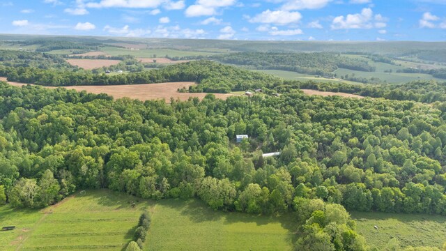 7314 Blue Level Rd, Rockfield, KY 42274 - bird's eye view with a rural view