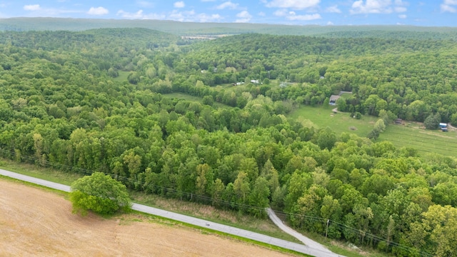 7314 Blue Level Rd, Rockfield, KY 42274 - bird's eye view with a view of trees