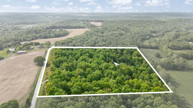 7314 Blue Level Rd, Rockfield, KY 42274 - bird's eye view featuring a forest view
