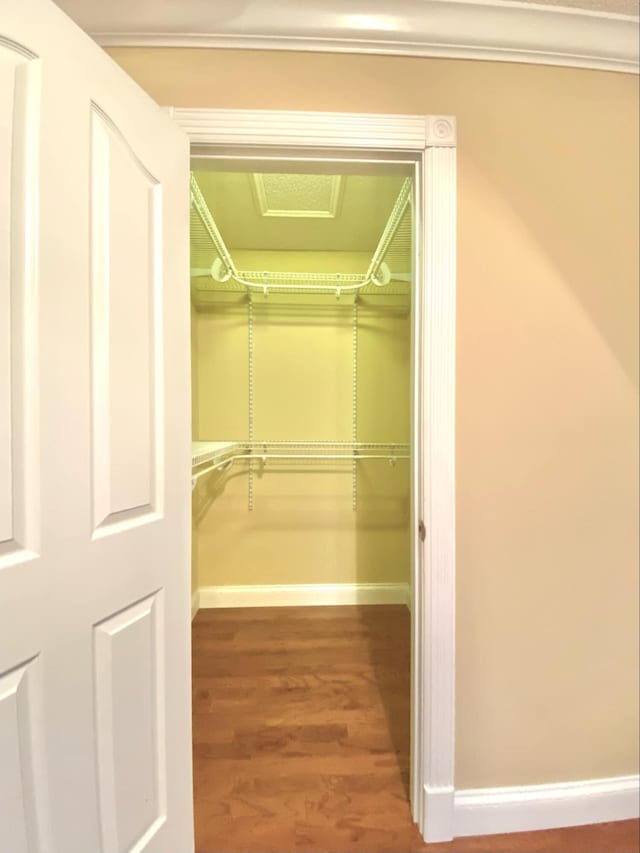 walk in closet with wood finished floors