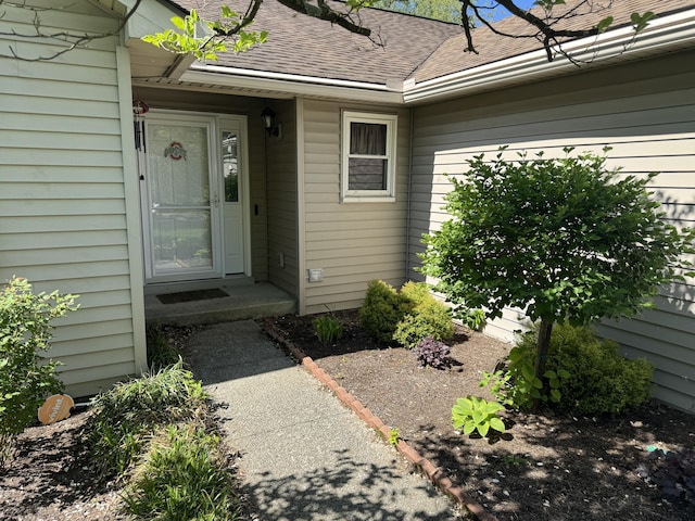 doorway to property featuring roof with shingles