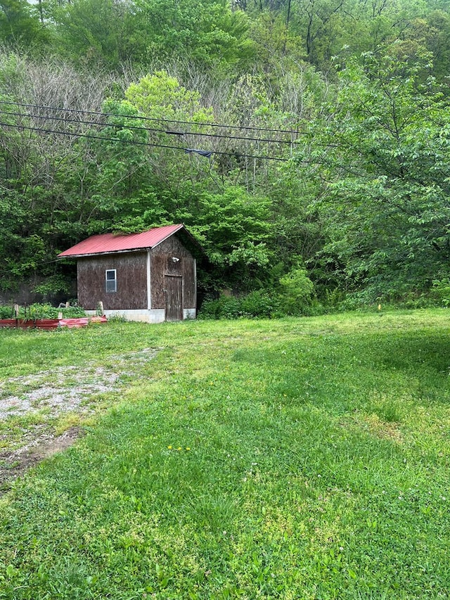 view of yard with a storage unit, an outbuilding, and a forest view