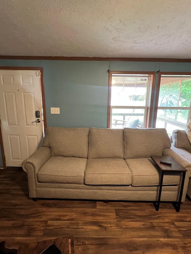living area with ornamental molding, a textured ceiling, and wood finished floors
