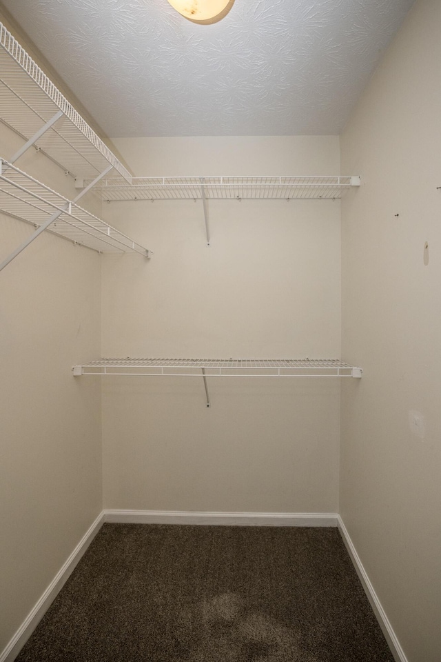 108 Sturbridge Ln, Winchester, KY 40391 - spacious closet with carpet floors