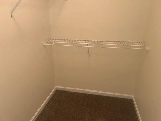 walk in closet with carpet floors