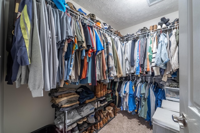 605 Coleman Dr, Berea, KY 40403 - spacious closet with carpet