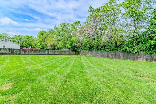view of yard featuring a fenced backyard