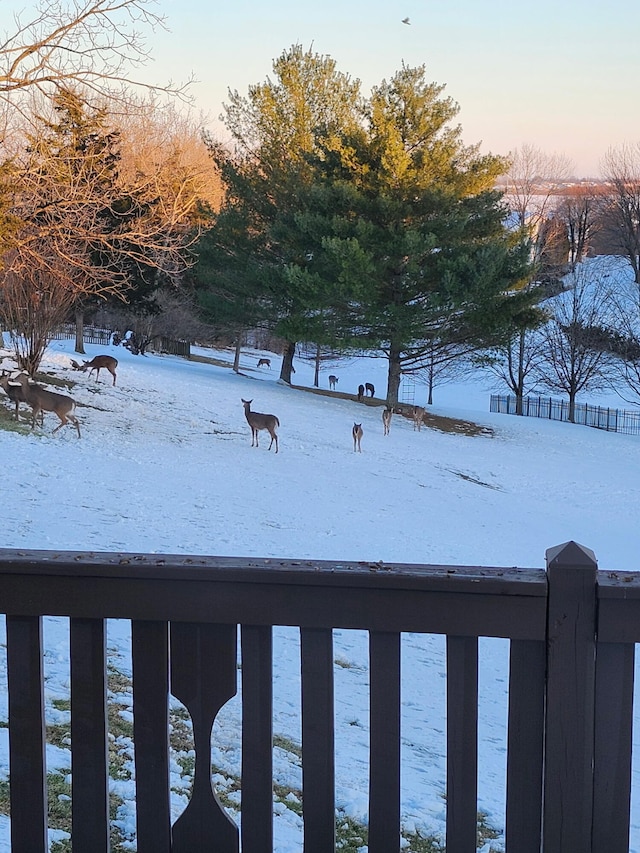 view of snowy yard
