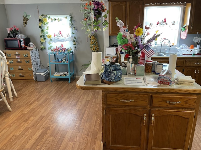 130 Branch Rd, Monticello, KY 42633 - kitchen with a sink, light countertops, light wood-style flooring, and black microwave