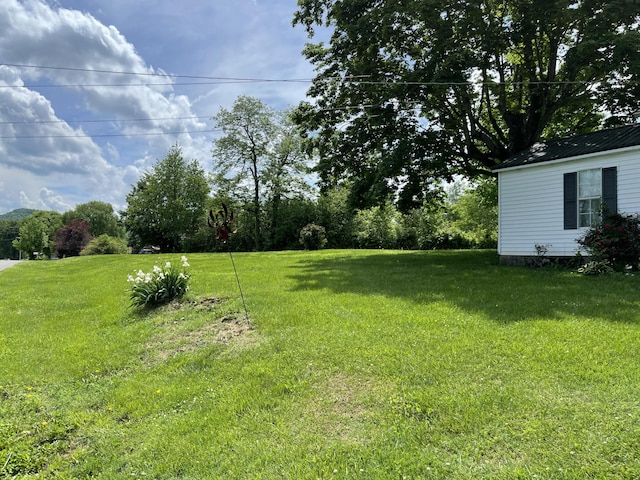 130 Branch Rd, Monticello, KY 42633 - view of yard