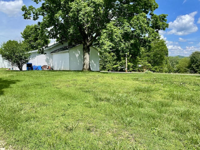 130 Branch Rd, Monticello, KY 42633 - view of yard