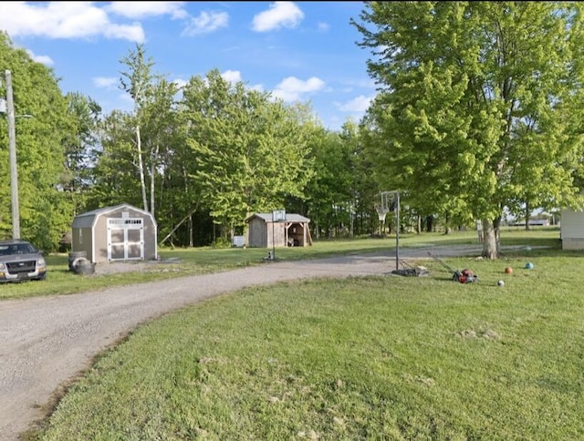2745 Farris Branch Rd, Wallingford, KY 41093 - view of green lawn with a storage shed, an outdoor structure, dirt driveway, and view of wooded area