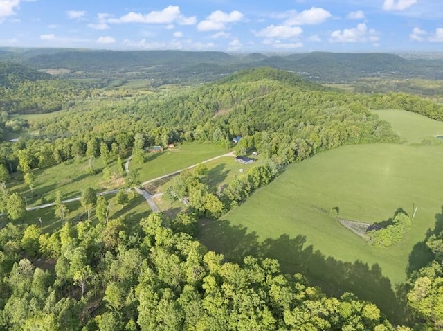 2745 Farris Branch Rd, Wallingford, KY 41093 - aerial view of property and surrounding area with a forest and a mountain backdrop