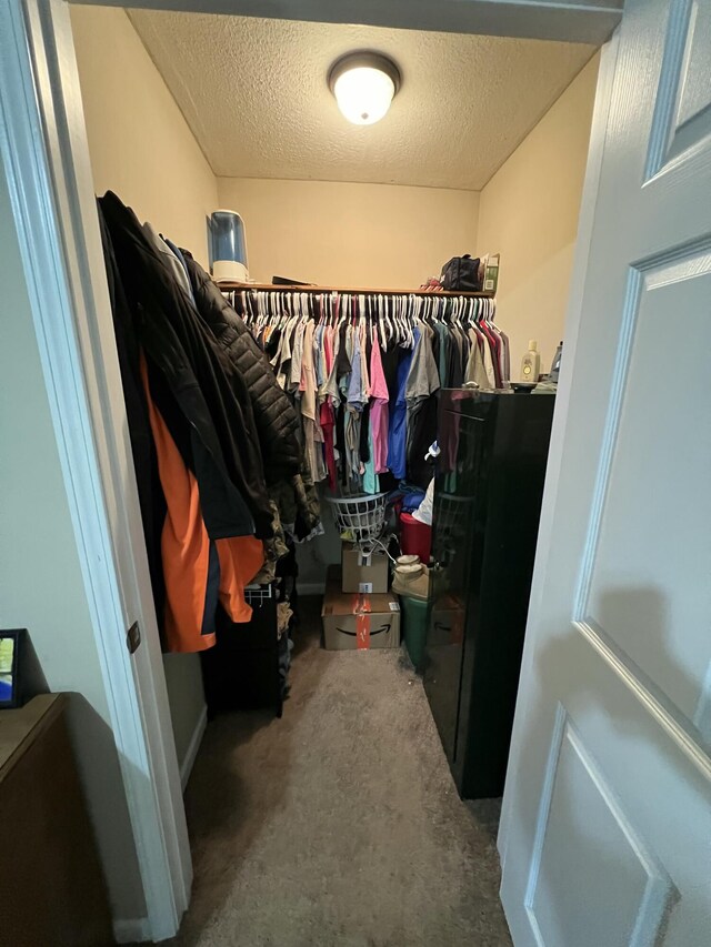 spacious closet featuring carpet flooring
