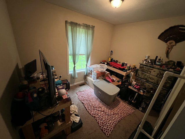 bedroom with carpet