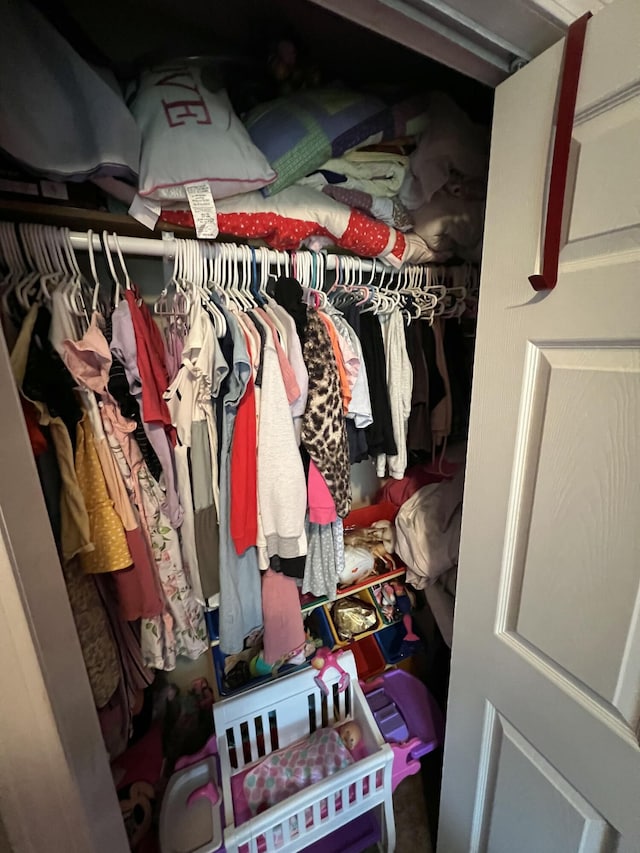 view of closet