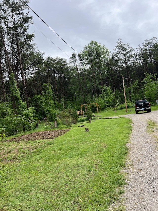 view of yard with a view of trees and driveway
