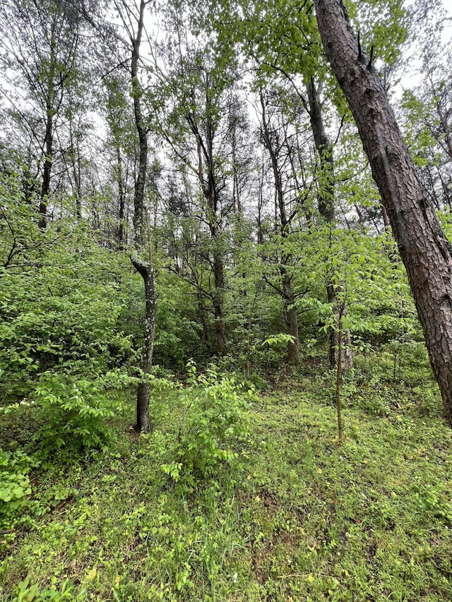 view of landscape with a wooded view
