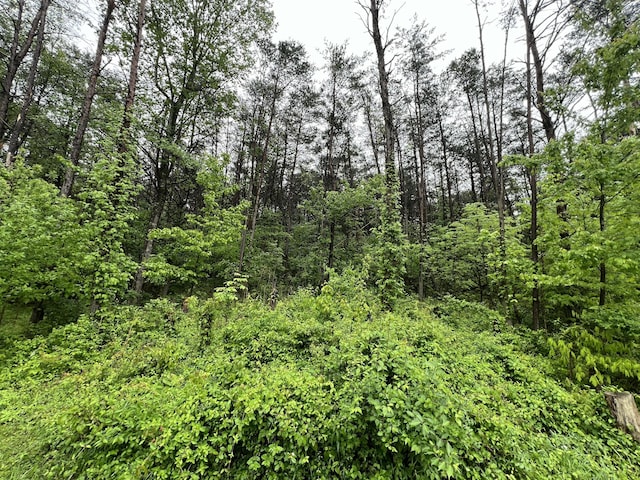 view of nature with a wooded view