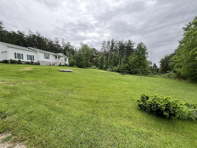 view of yard