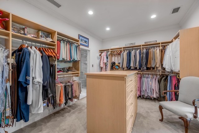 101 Idle Hour Dr Unit 1, Lexington, KY 40502 - spacious closet featuring light carpet