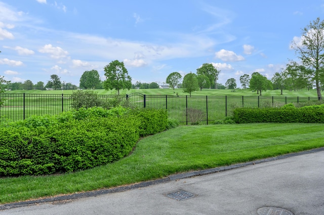 101 Idle Hour Dr Unit 1, Lexington, KY 40502 - view of yard