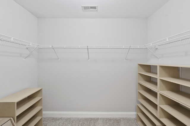 spacious closet featuring carpet flooring