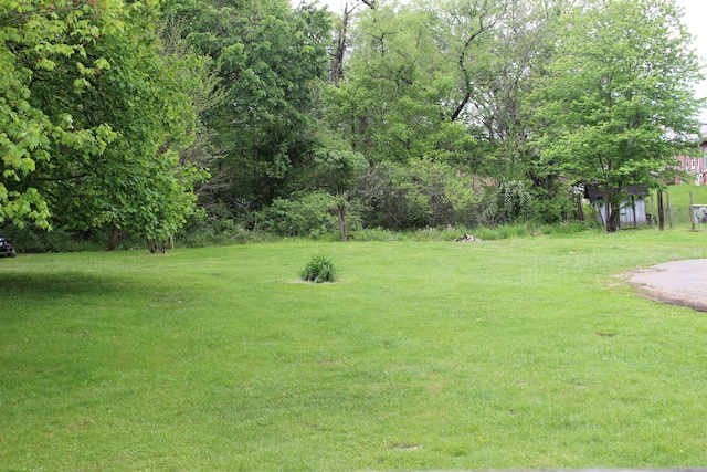 view of yard